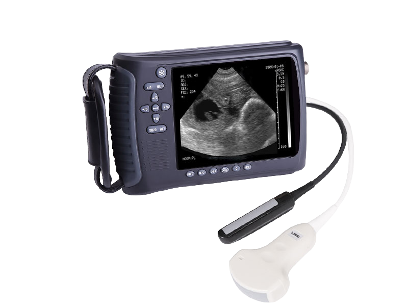 Veterinary Portable Ultrasound