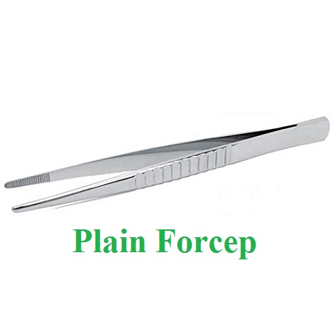 Plain Forcep