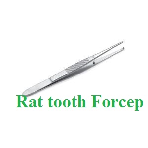 Rat Tooth Forcep